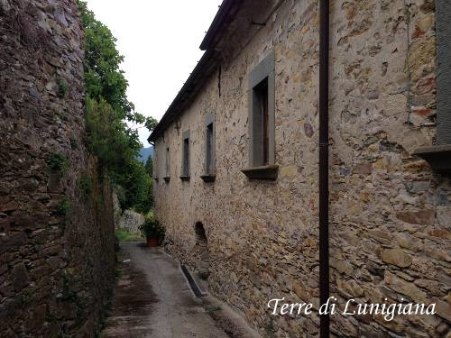 Caugliano