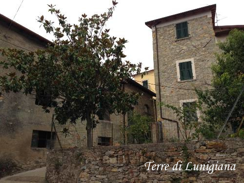 Caugliano