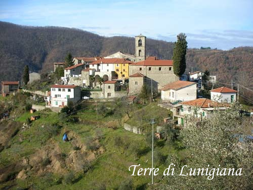 Cecina