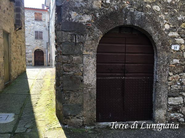 Cecina