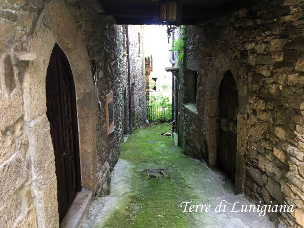 Cecina