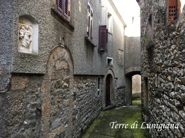 Cecina
