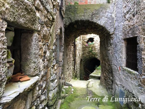 Cecina