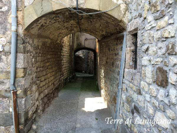 Cecina