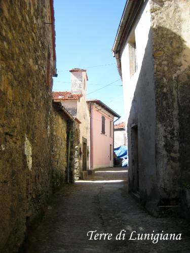 Corsano