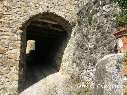 Turano