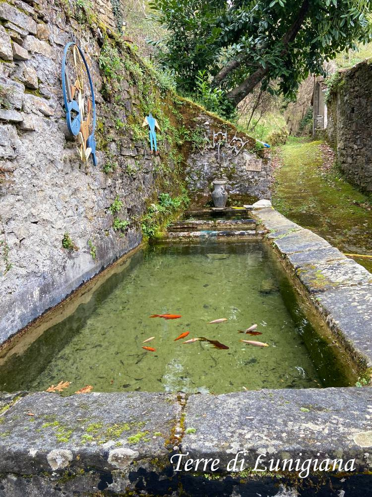 Lavatoio
