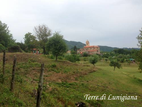 Careggia