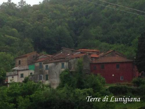 Ceppino