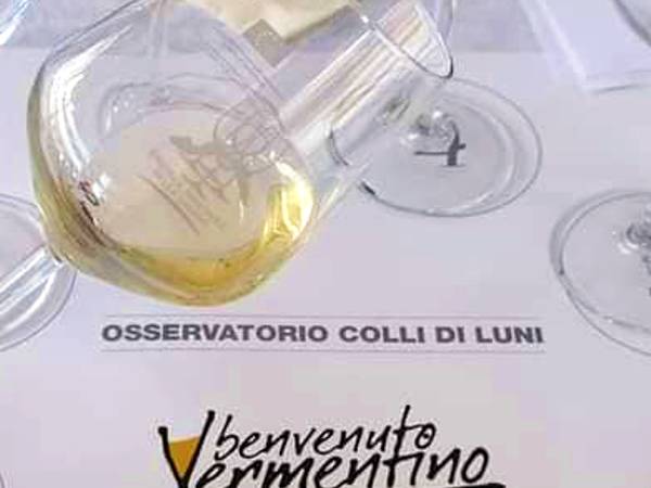 Il Vermentino